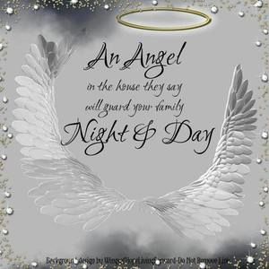 Meet your Posher, Lynne